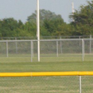 Meet your Posher, Shelly